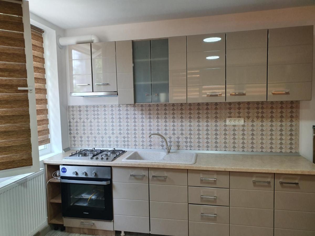 Apartament Negris Bîrlad Exterior foto